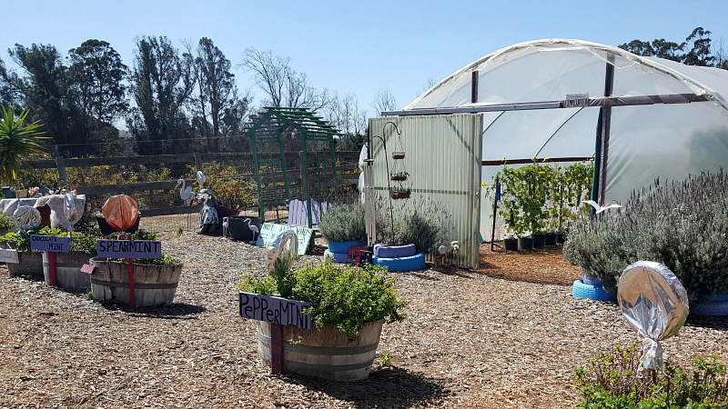 The Luffa Farm Tour in Nipomo, California