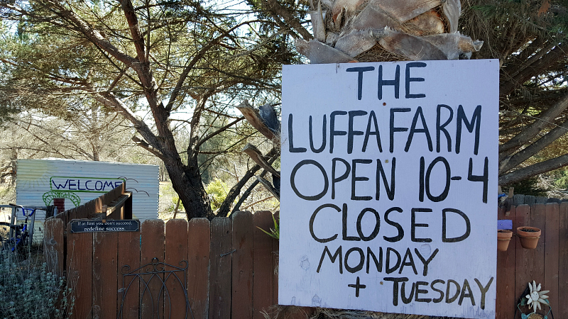 The Luffa Farm Tour in Nipomo, California