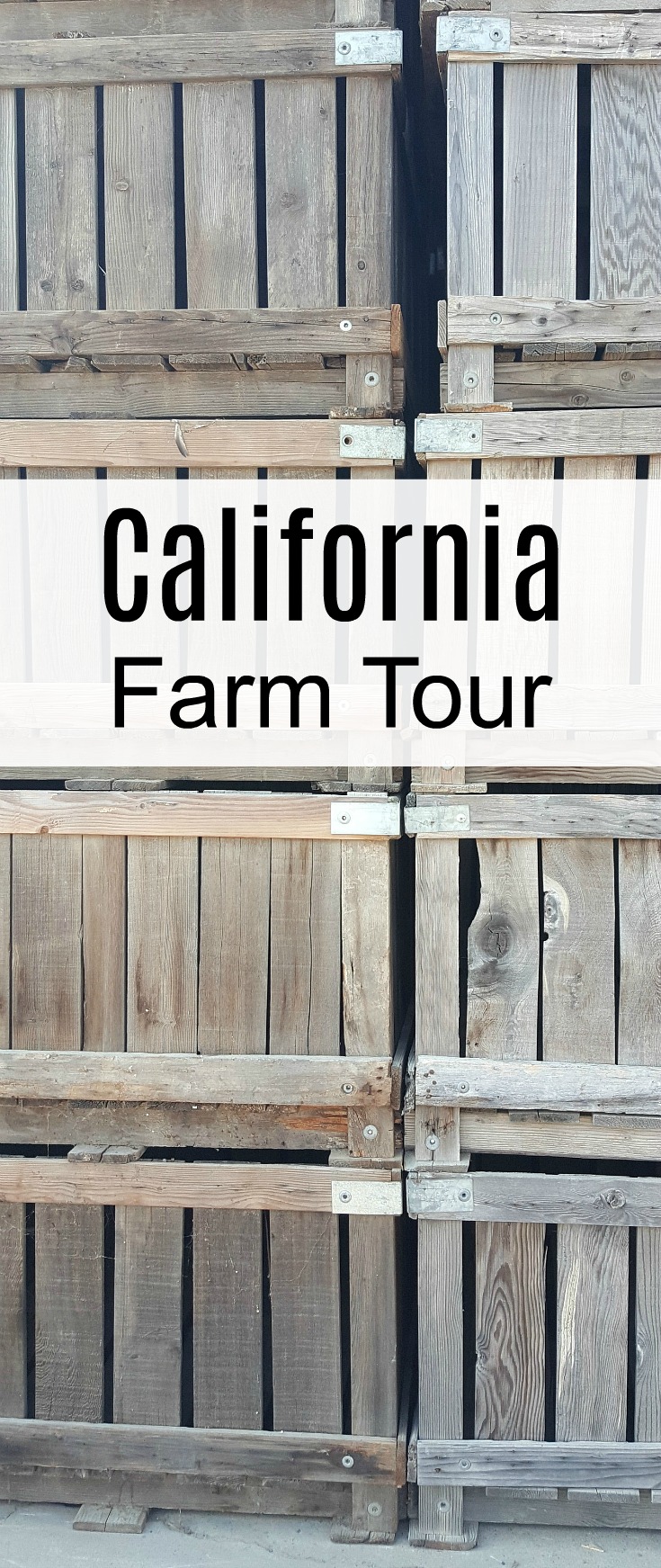 California Central Valley Farm Tour - A behind the scenes look at dairy, nuts, grains, fruits and veggies grown in California