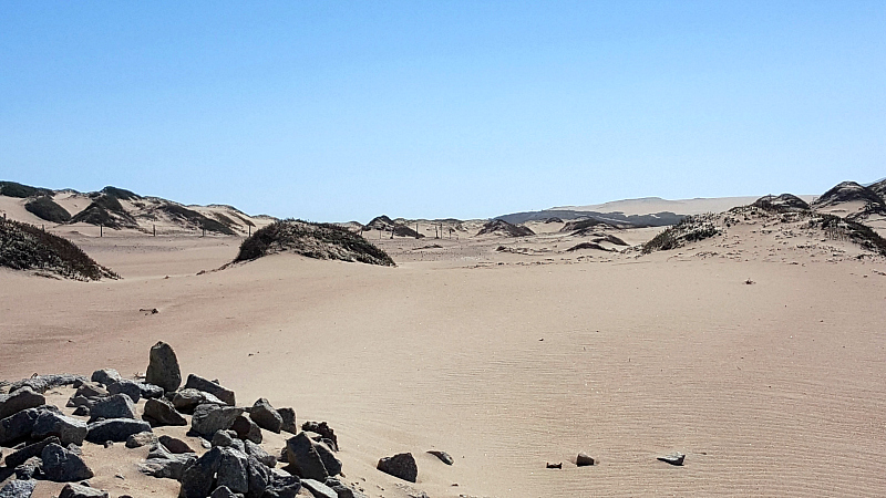 Guadalupe-Nipomo Dunes National Wildlife Refuge