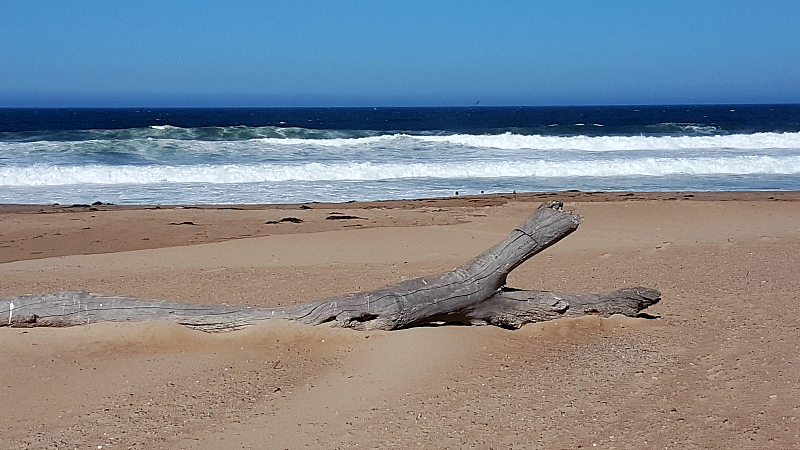 Guadalupe-Nipomo Dunes National Wildlife Refuge