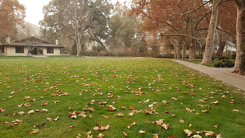 Fall at Alisal