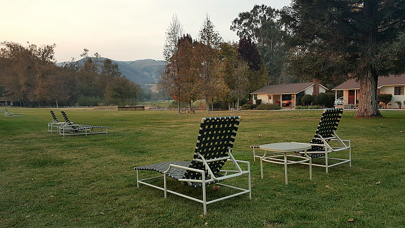 lounges on lawn