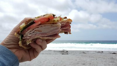 sandwich picnic beach