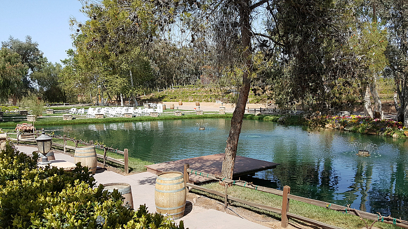 winery wedding chairs