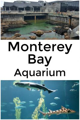 Monterey Bay Aquarium on the California Coast