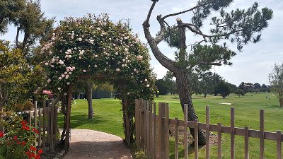 hyatt flowering archway golf