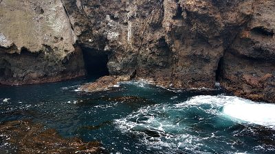 anacapa harbor kelp caves