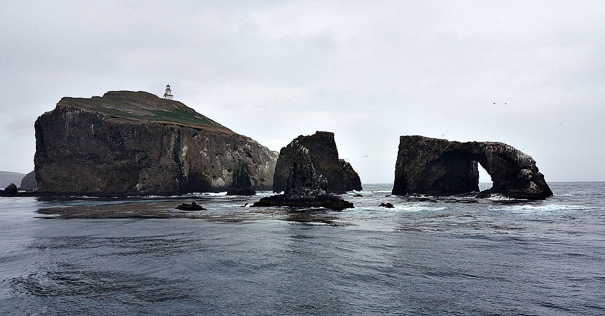 anacapa island boat tour