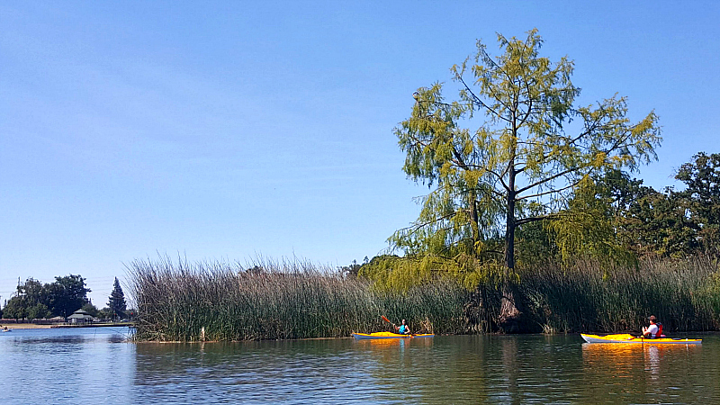 lodi lake dawn redwood kayaks
