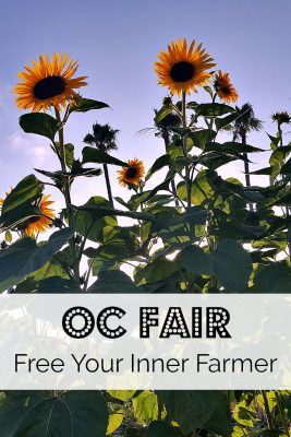 OC Fair 2018 Free Your Inner Farmer
