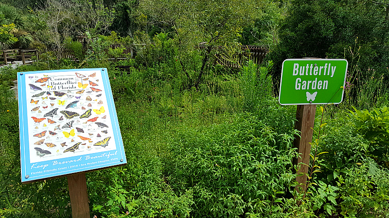 enchanted forest butterfly garden