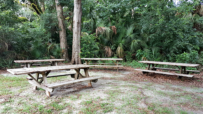 enchanted forest picnic tables
