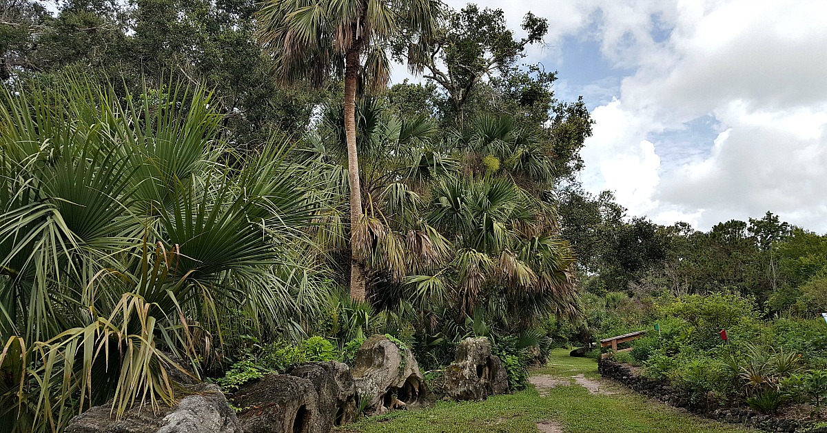 the titusville enchanted forest 