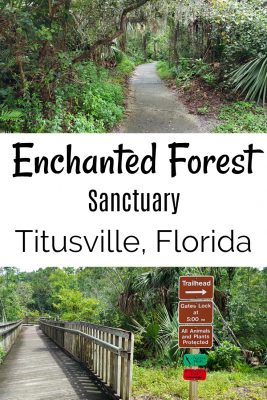 florida titusville enchanted forest