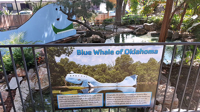 la fair blue whale oklahoma