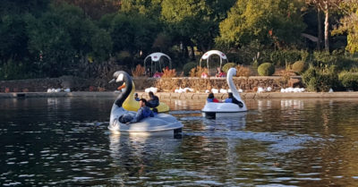 12 gilroy gardens swan