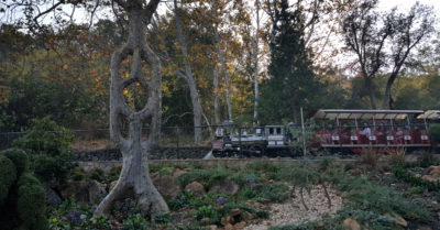 13 gilroy gardens tree train
