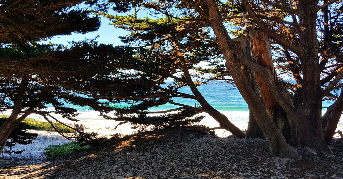 2 carmel beach