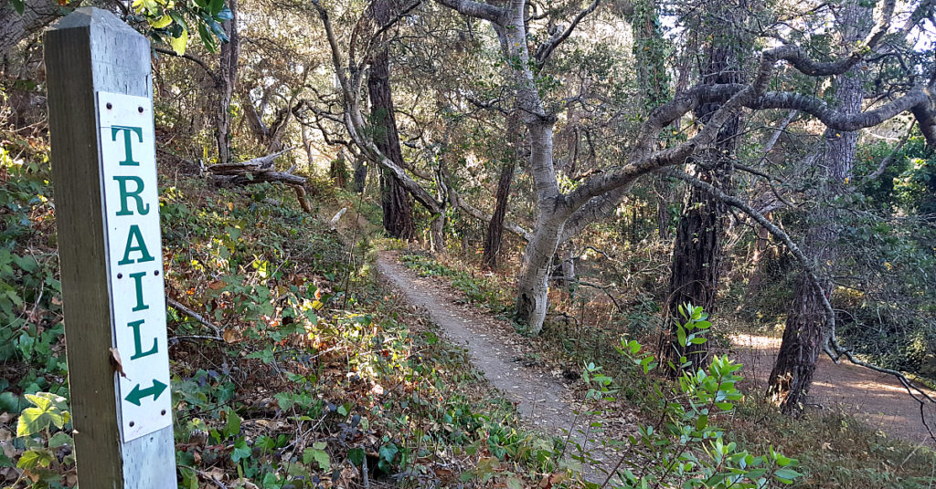 Mission Trail Park - Carmel By The Sea - Valerie Was Here