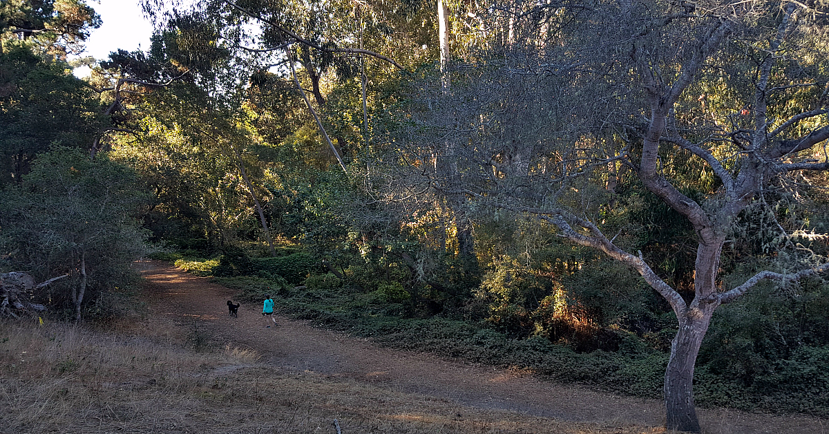 feature mission trail park