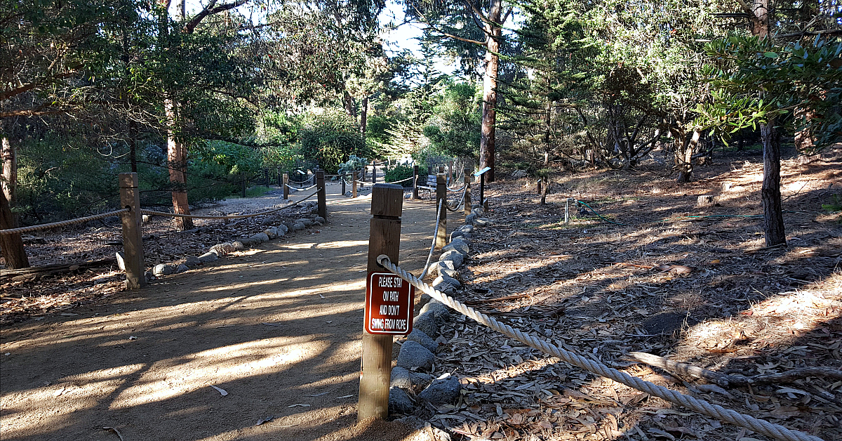 feature monarch butterfly sanctuary