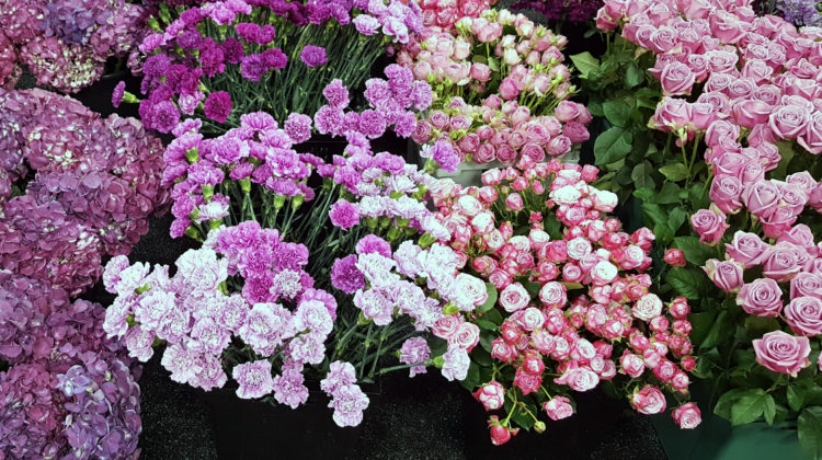 floats flowers 1