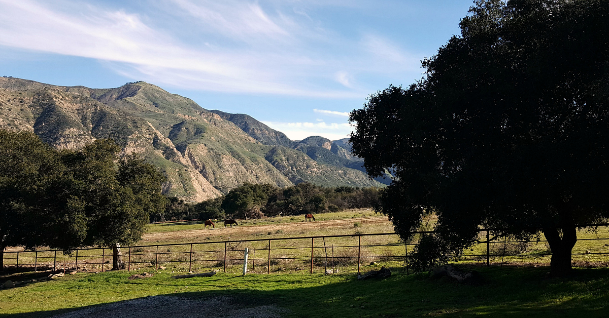 rancho oso view from cabin