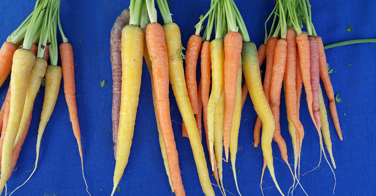 solvang farmers market rainbow carrots