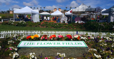 1 flower fields entry sign
