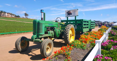 1 flower fields tractor