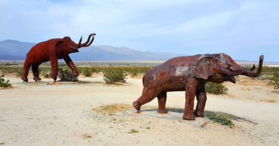 feature galleta meadows borrego springs metal elephant sculptures
