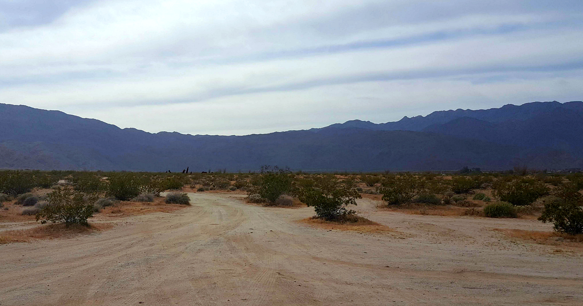 galleta meadows dirt road