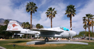 navy plane and palm trees