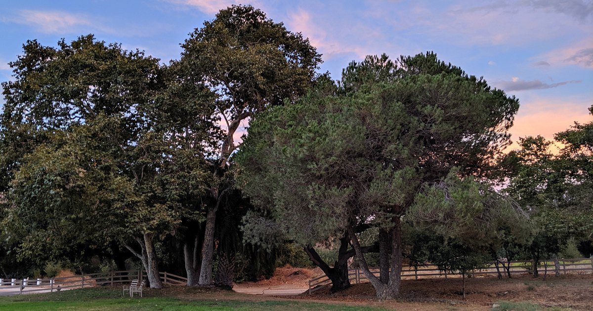 jamul scenery at pio picor resort