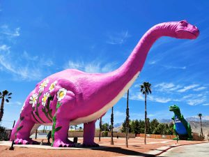 spring flowers cabazon dinosaurs