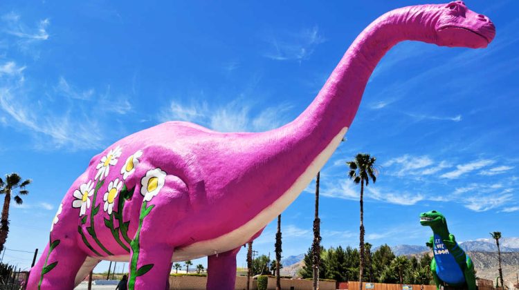 spring flowers cabazon dinosaurs