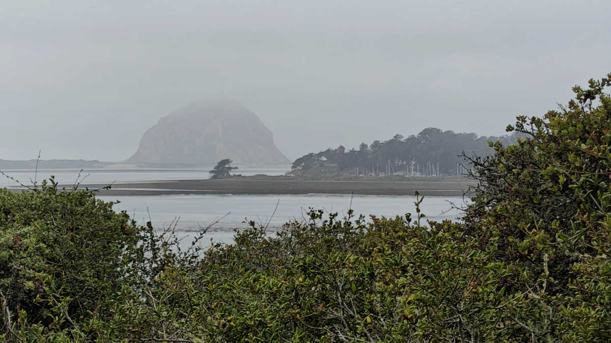 morro rock view from elfin forest