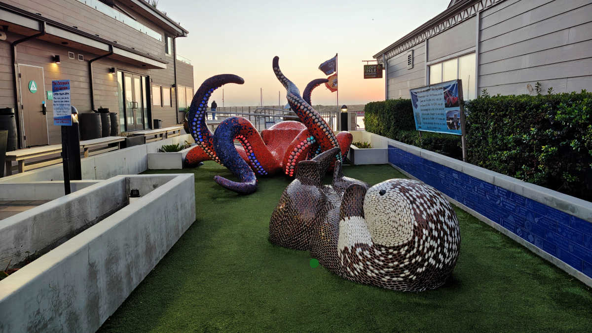 octopus zen garden sunset view