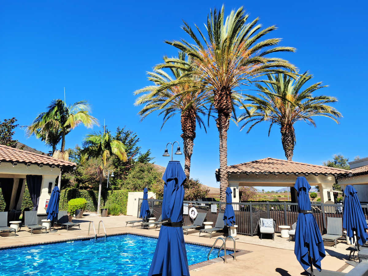 pool and palm trees slo marriott