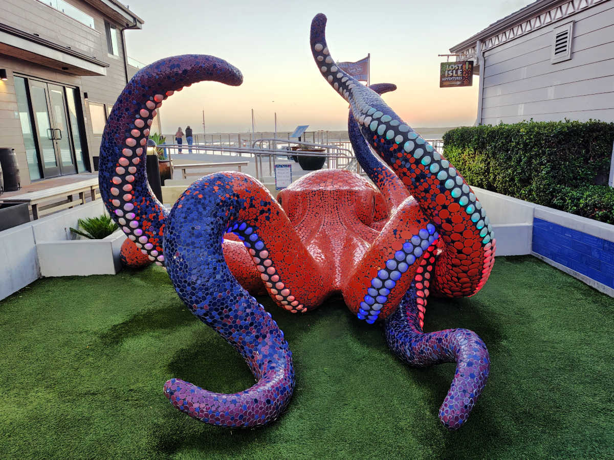 taki octopus sculpture peter hazel